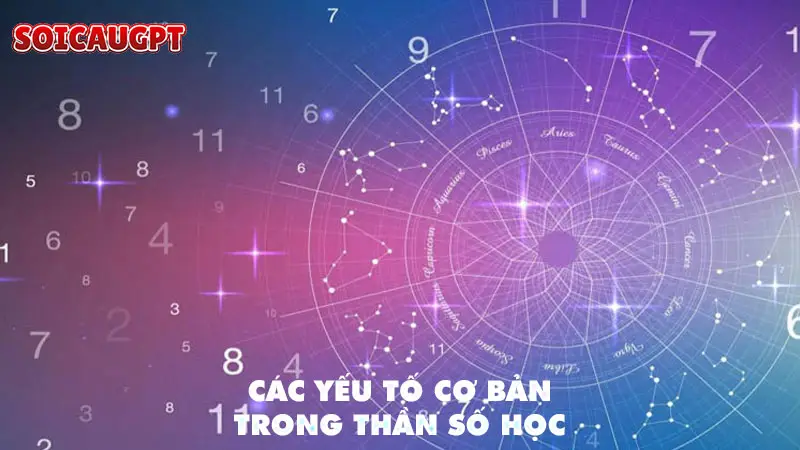 Các yếu tố cơ bản trong thần số học